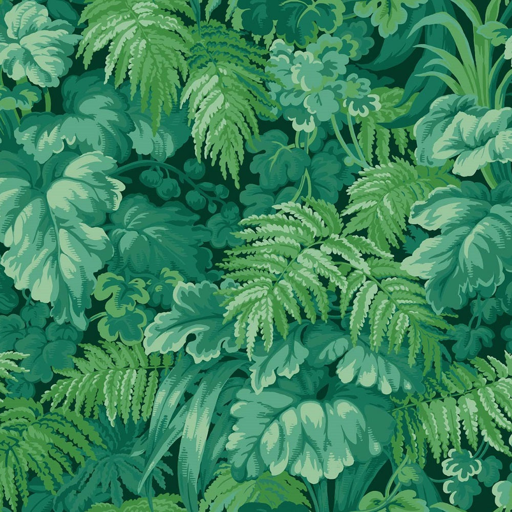 Olive/Jade/Cream/Black