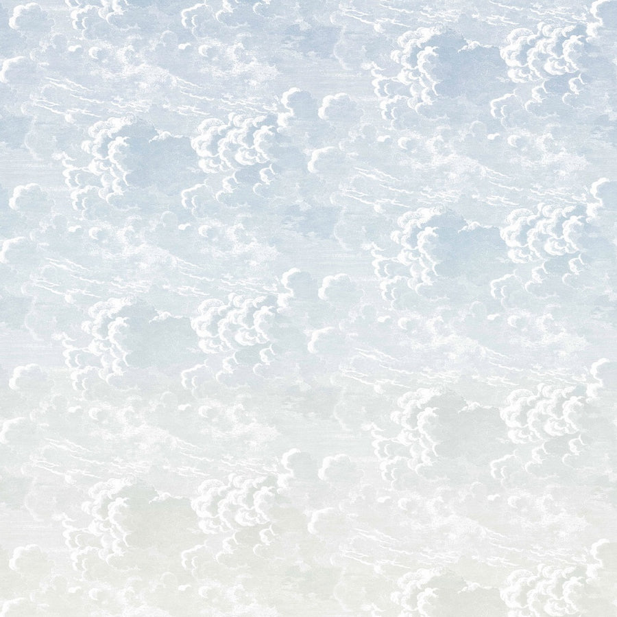 Sky Blue to Pale Sage Ombre