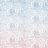 Sky Blue to Blush Ombre