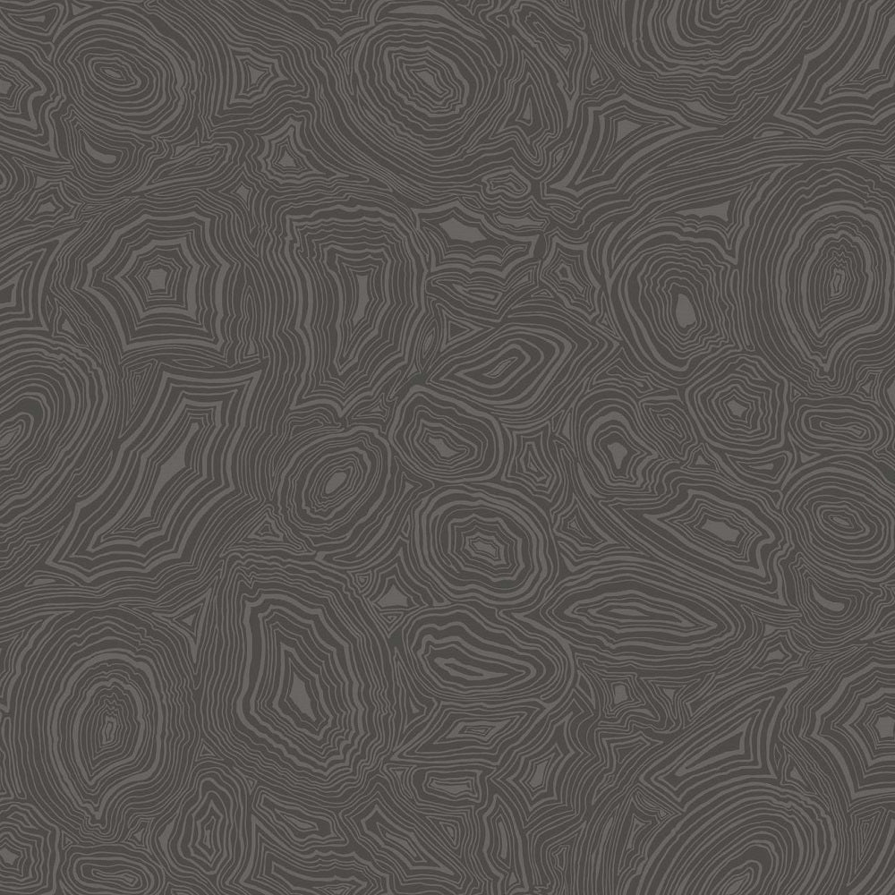 Pewter on Charcoal