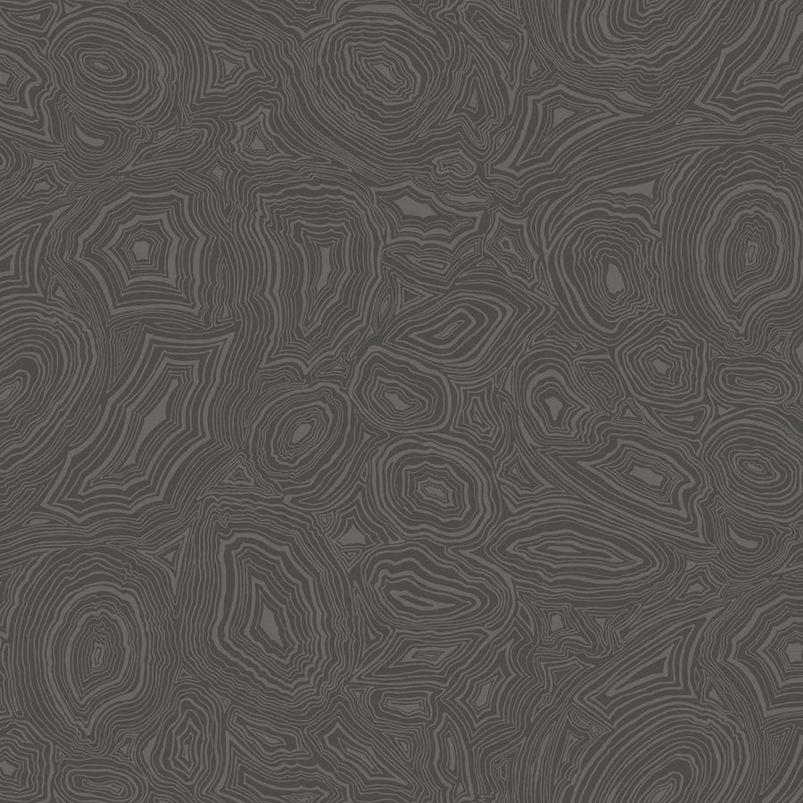 Pewter on Charcoal