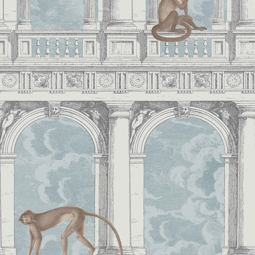 Grey/White/Warm Brown/Light Blue