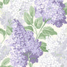 Shades of Purple/Green on Cream