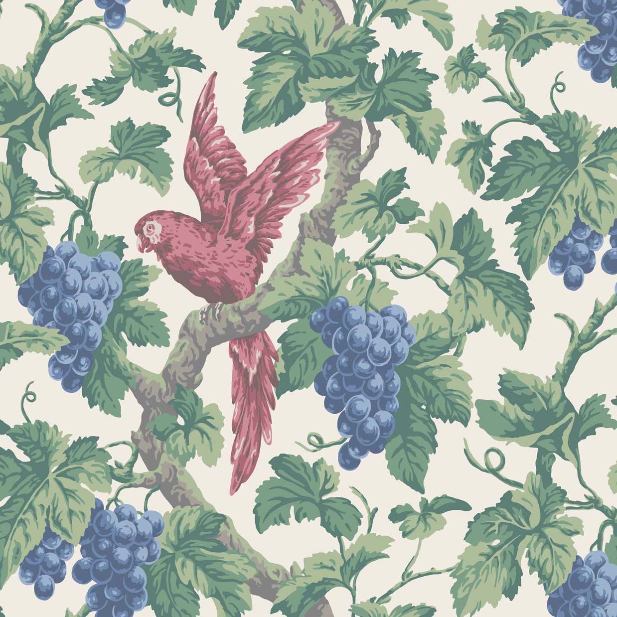 Rose/Hyacinth/Forest on Parchment