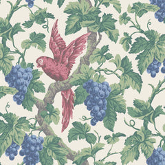 Rose/Hyacinth/Forest on Parchment