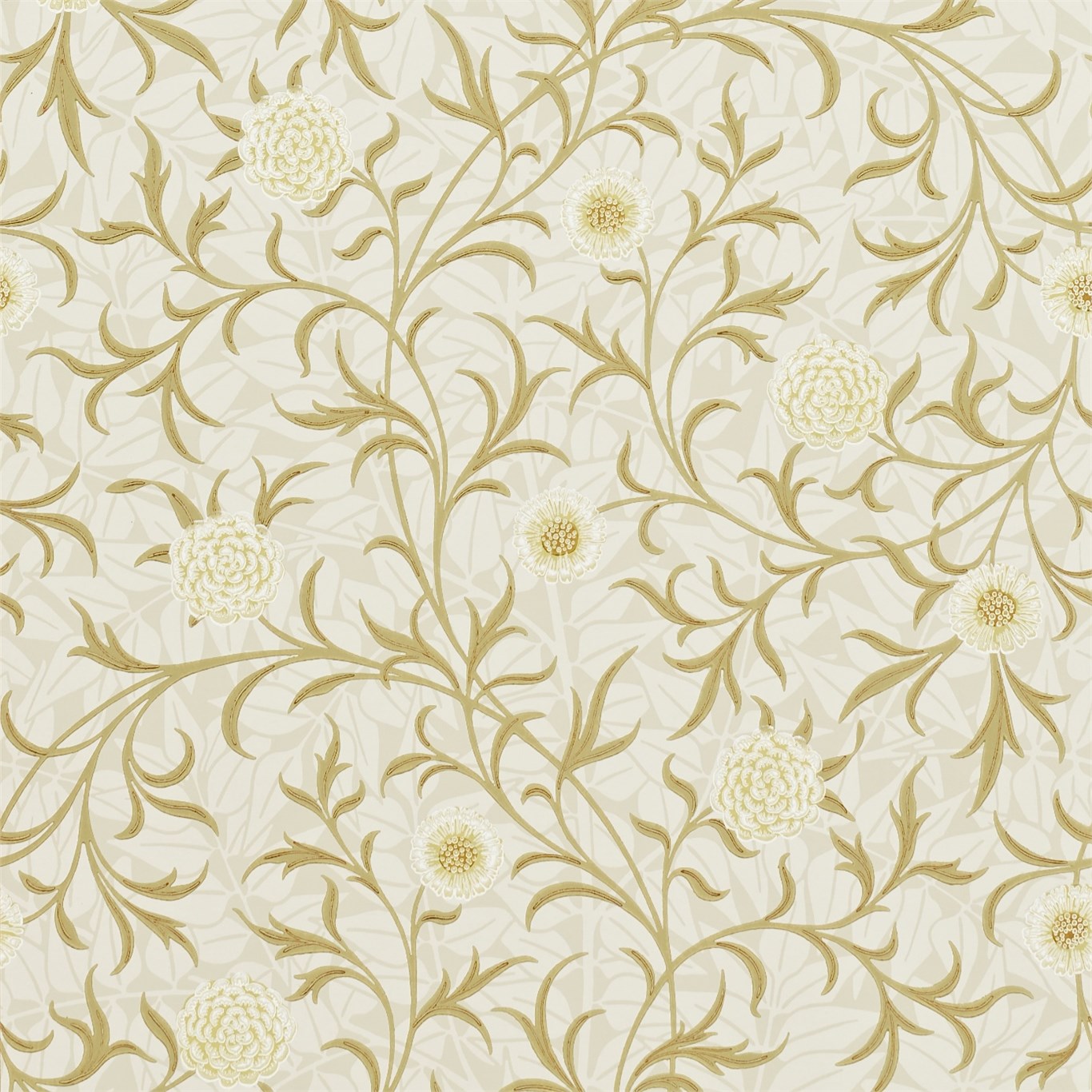 Vellum/Biscuit