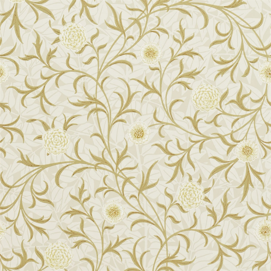 Vellum/Biscuit