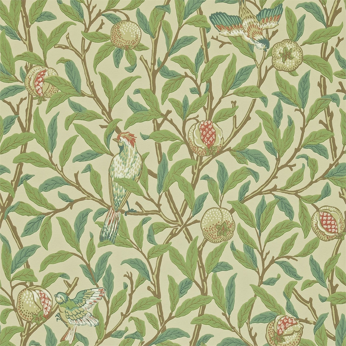 Bayleaf/Cream