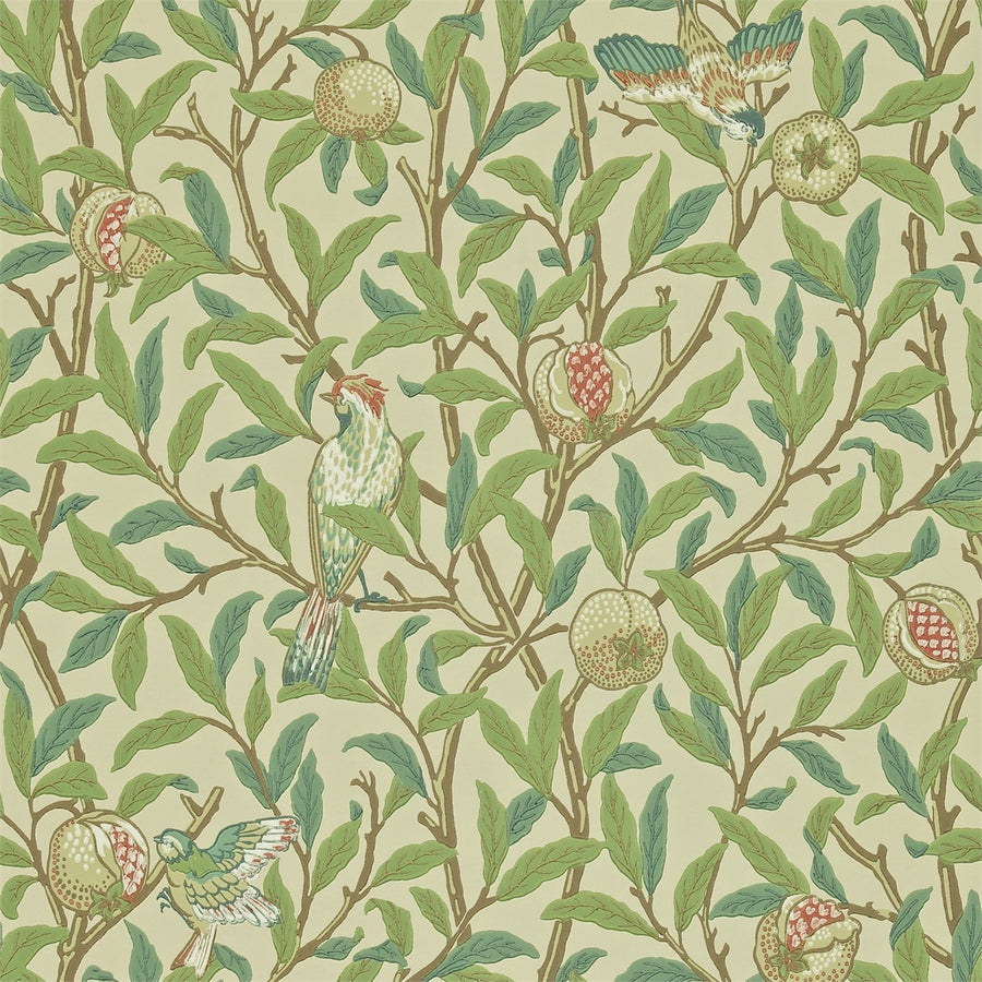 Bayleaf/Cream
