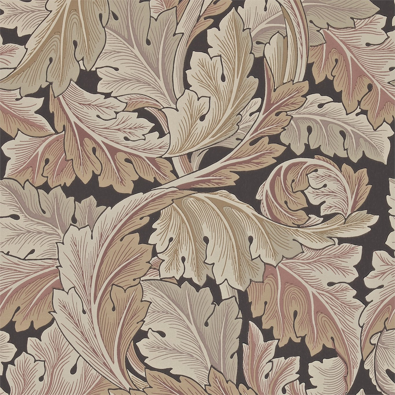 Terracotta