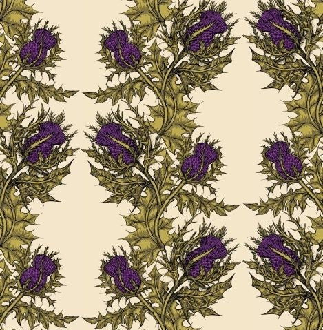 Purple & Gold on Cream
