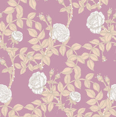 Warm Tan & White on Pale Pink
