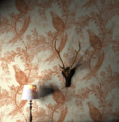 Shades of Orange on Cream