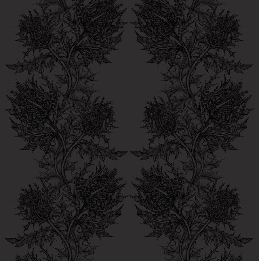 Black on Black