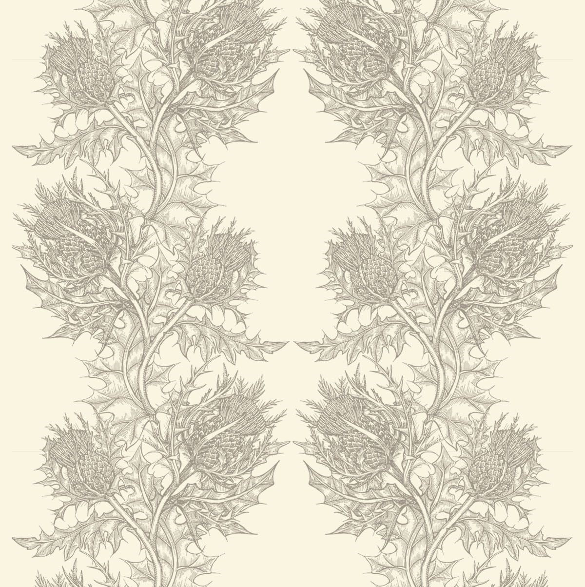 Grey on Ivory