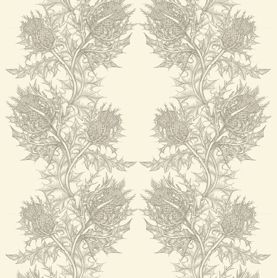 Grey on Ivory