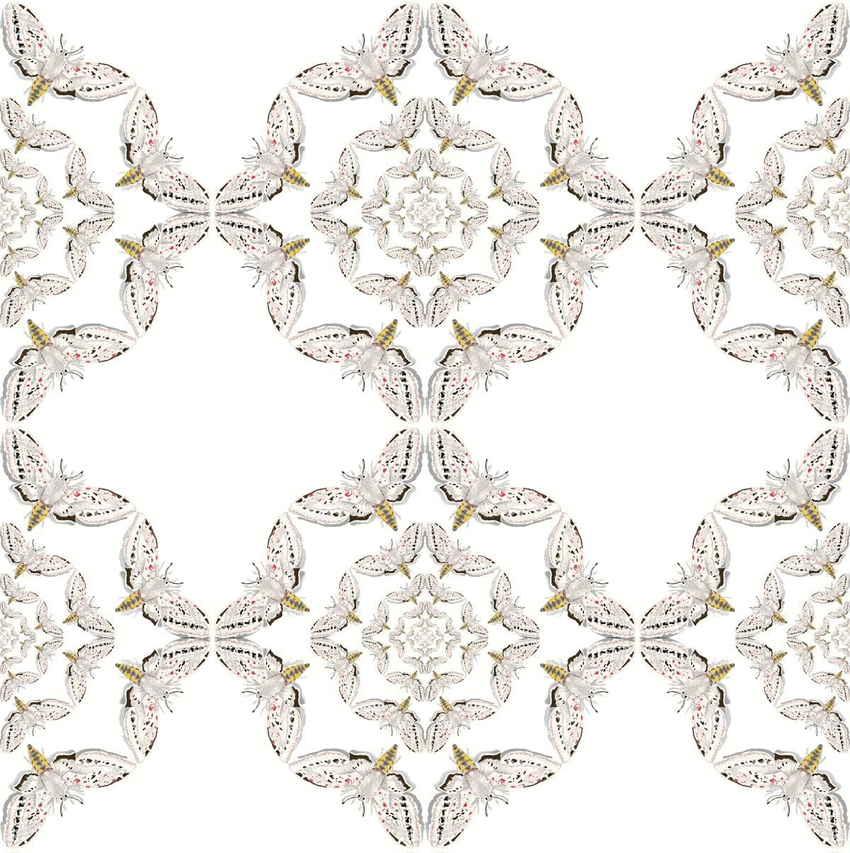 White Moth Circle