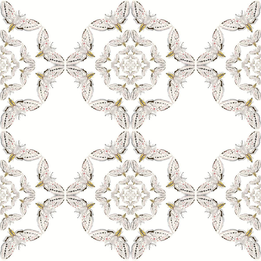White Moth Circle