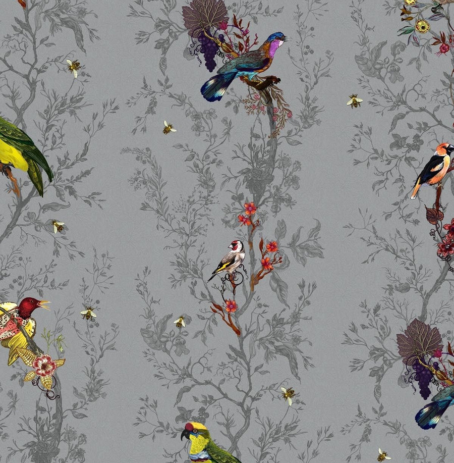 Multicolored Birds on Grey