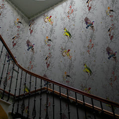 Multicolored Birds on Grey