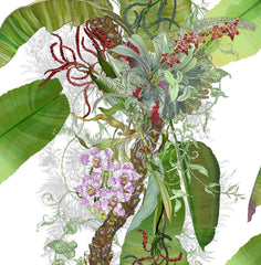 Shades of Green/Red & Purple on White