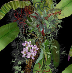 Green/Purple & Red on Black