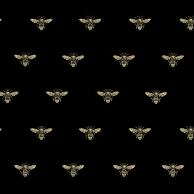 Black & Gold on Swift Black