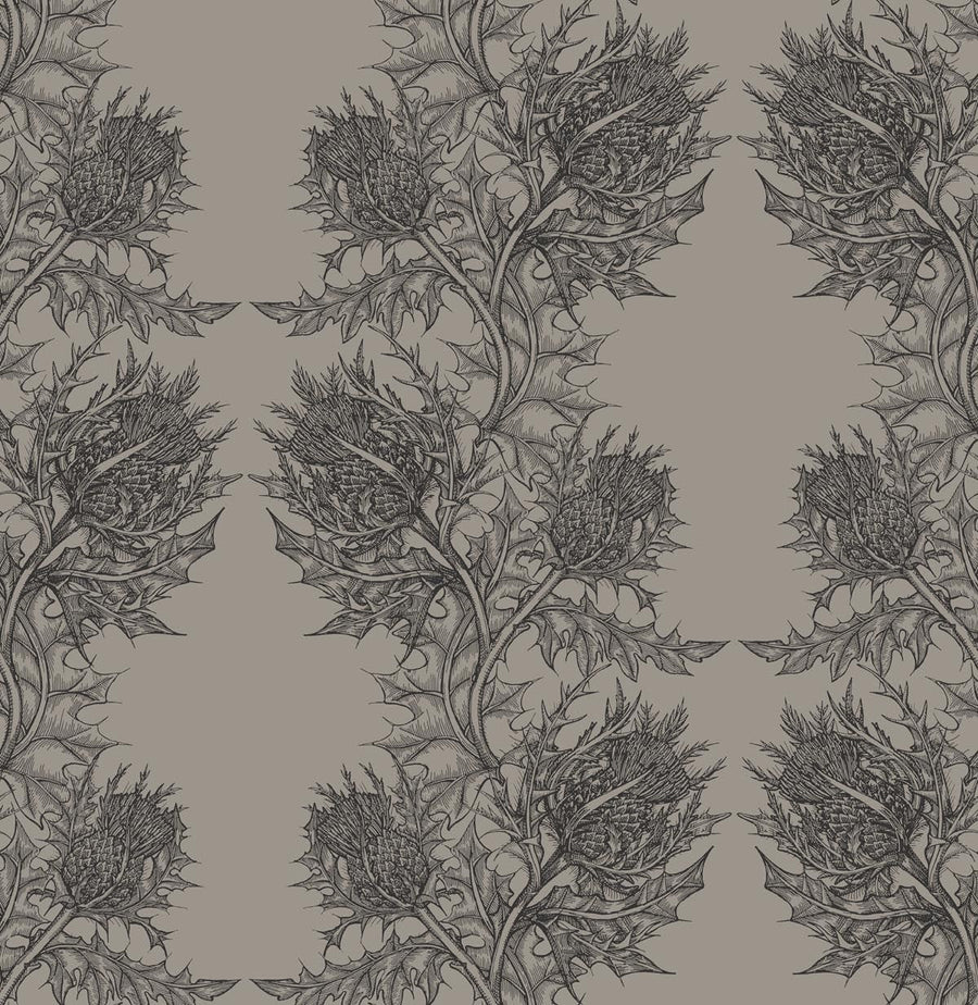 Soft Black on Taupe
