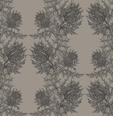 Soft Black on Taupe
