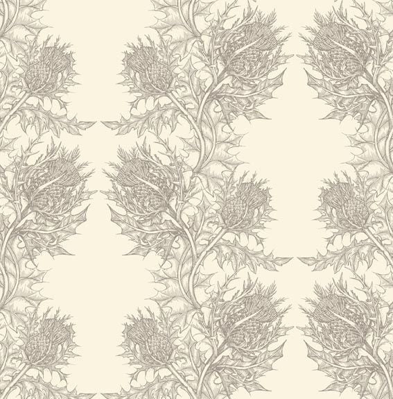 Soft Grey on Cream