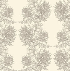 Soft Grey on Cream