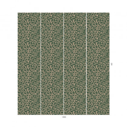 Quercus