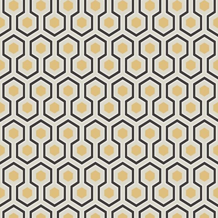 Black/White/Gold