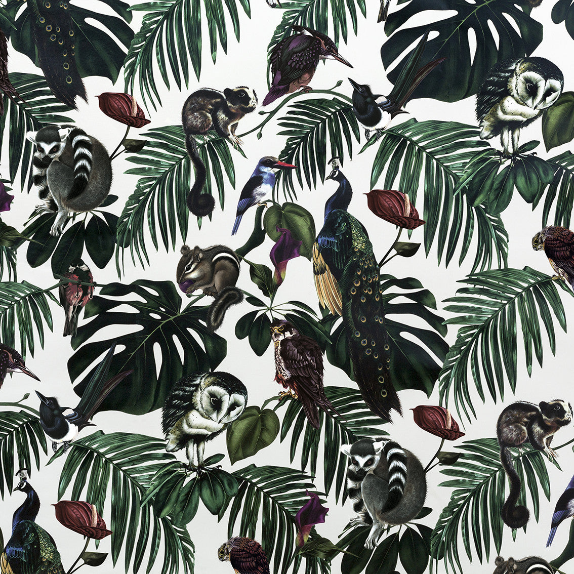 Light Cotton Half Panama Fabric