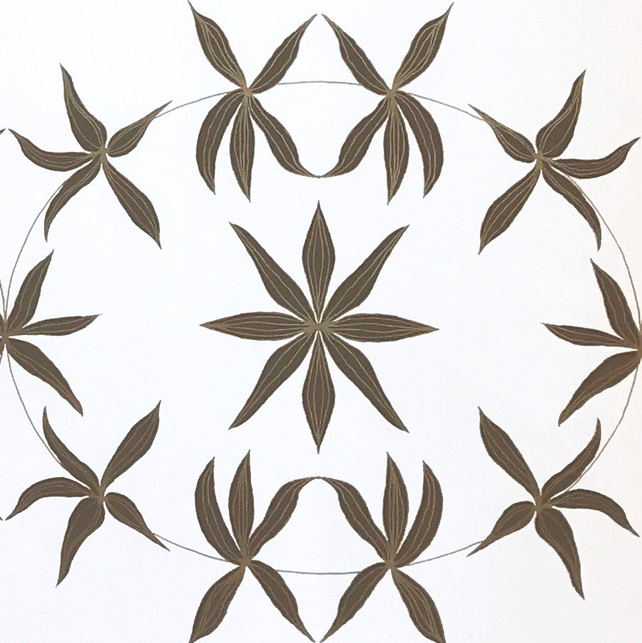 Olive Grove