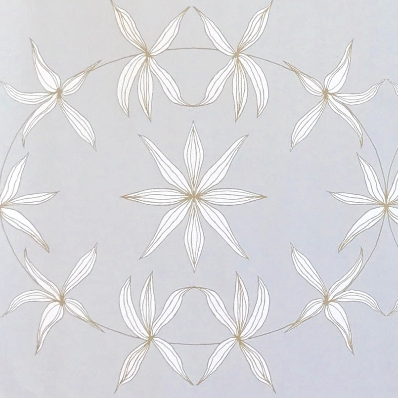 Stars in Shadows