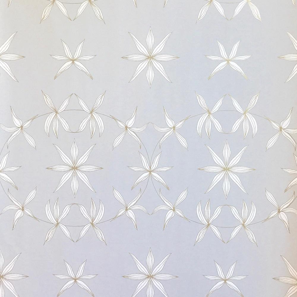 Stars in Shadows