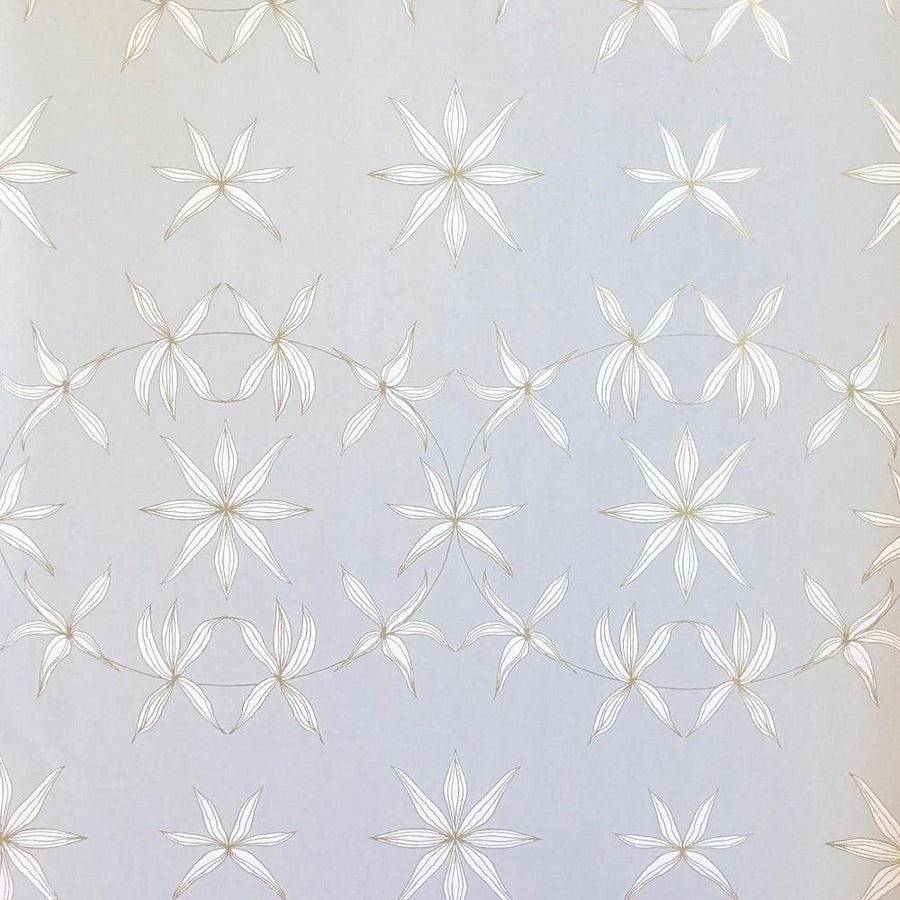 Stars in Shadows