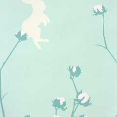 Sweetpea
