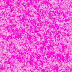 Aurora Pink