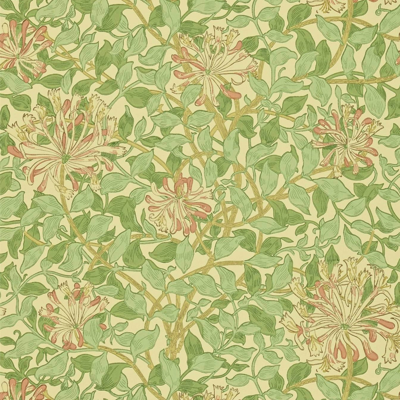 Green/Beige/Pink