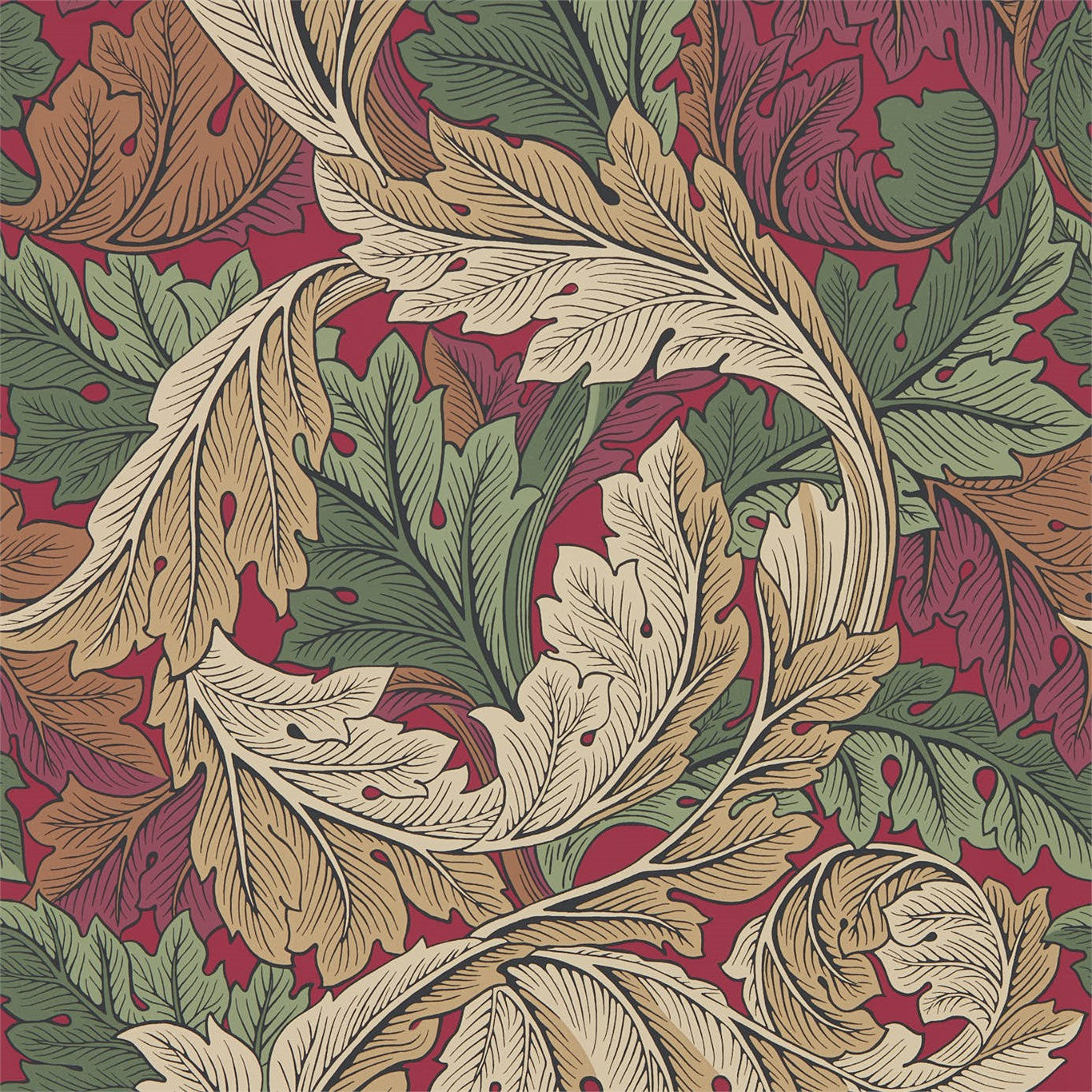 Madder/Thyme