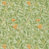 Green/Terracotta