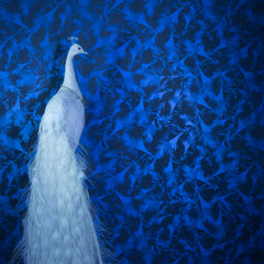 Pearl Blue