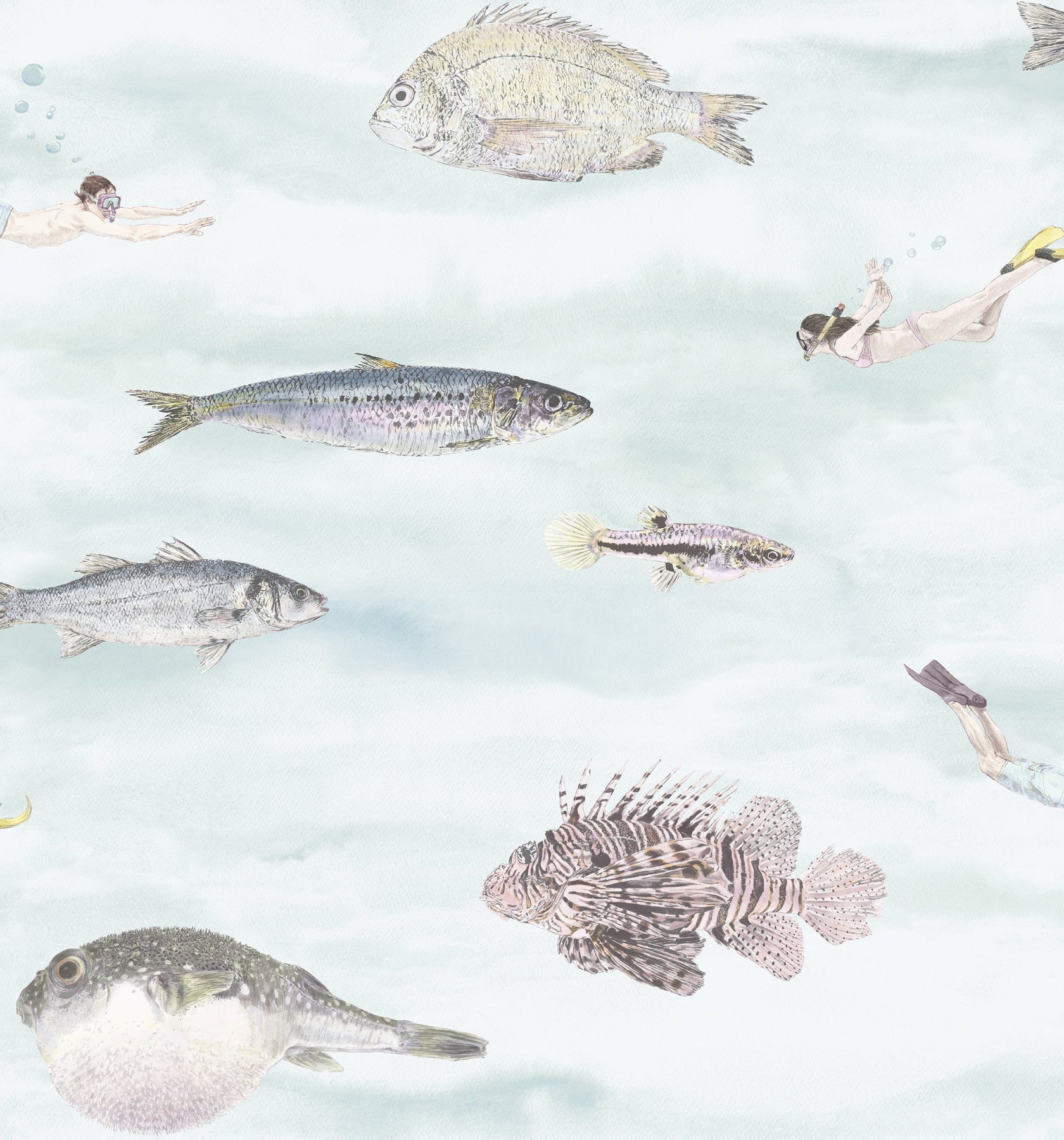 Classic Fish