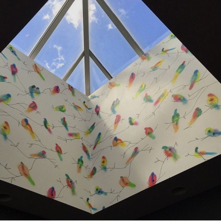 Fruit_Doves_Palau.jpg