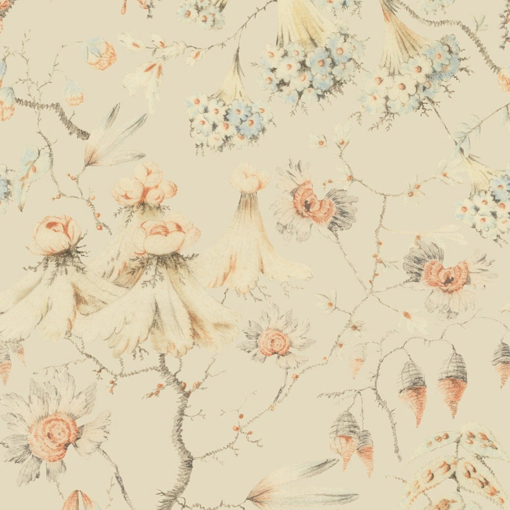 Peach/Bluewash