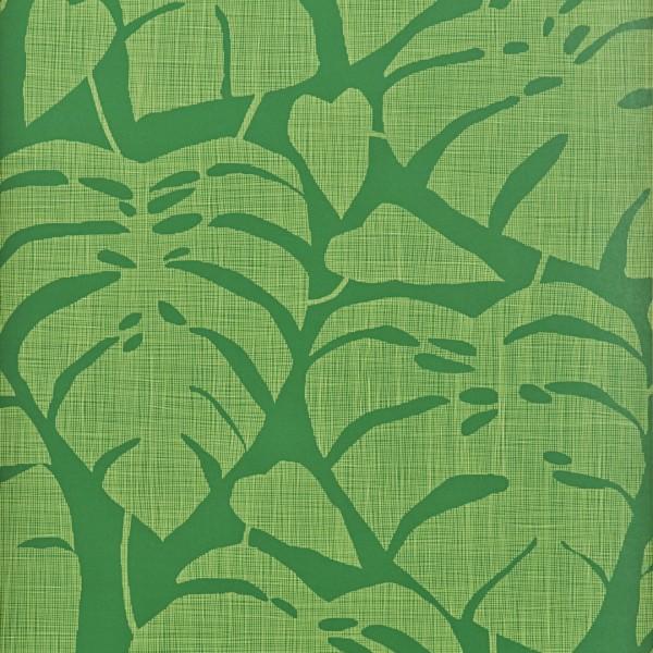 Tropics