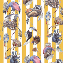 Ochre/Stripe