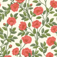 Rose & Spring Green on Parchment